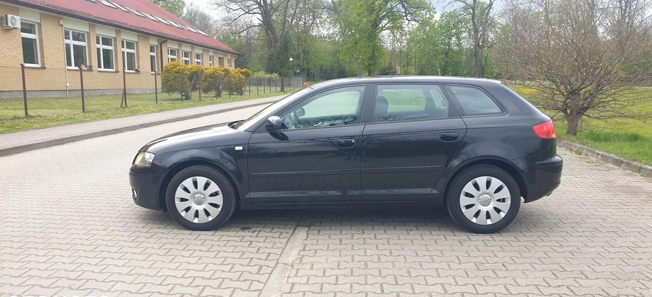 Audi A3 cena 19300 przebieg: 259777, rok produkcji 2007 z Białogard małe 191